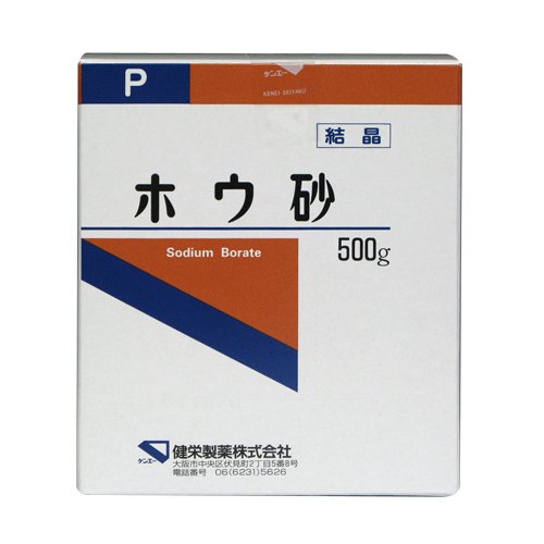 健栄製薬 スライム作りホウ砂結晶 P 500g