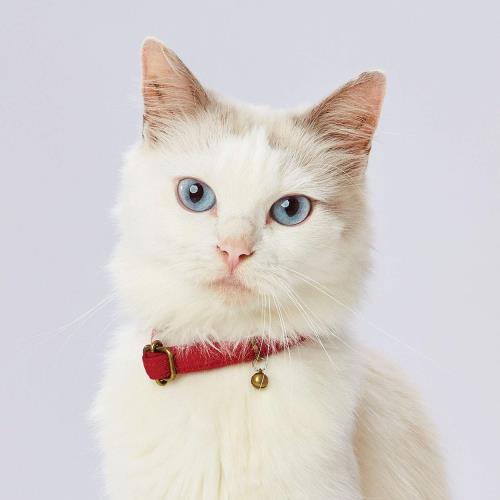 ペティオ (Petio) 首輪 necoco ネココ キャットカラー レッド 猫